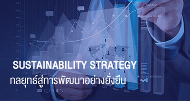 Sustainability Strategy